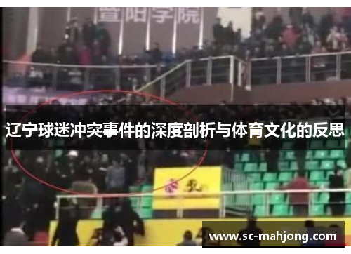 辽宁球迷冲突事件的深度剖析与体育文化的反思