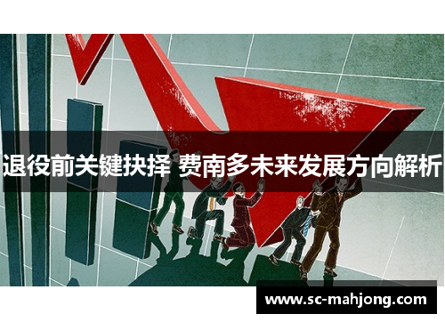 退役前关键抉择 费南多未来发展方向解析