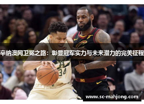 辛纳澳网卫冕之路:彰显冠军实力与未来潜力的完美征程 辛纳澳网卫冕之路:彰显冠军实力与未来潜力的完美征程